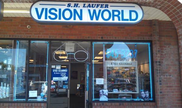Laufer S H Vision World