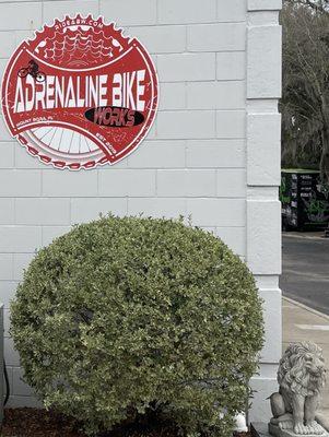Adrenaline Bike Shop, Mt. Dora, Fl