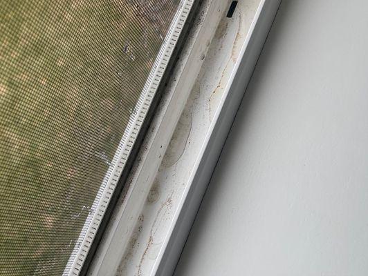 Shack Shine Minneapolis