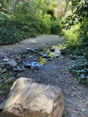 Sausal Creek..