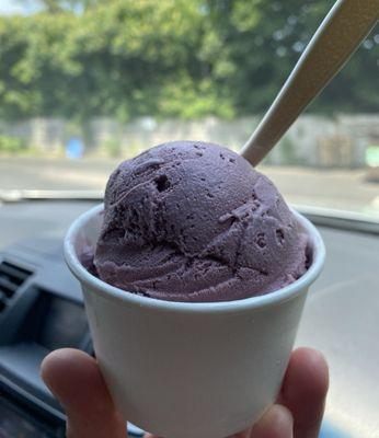 Black Raspberry Chip (Yogurt).