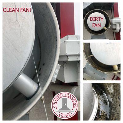 Exhaust Fan Cleaning is one of our specialized services.
