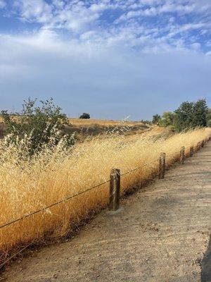 Anatolia Wetland Preserve Trail