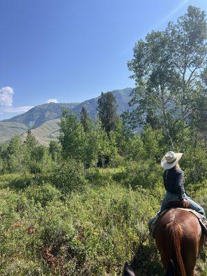 Willow Creek Horseback Rides