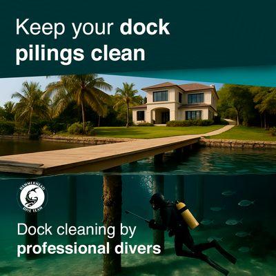 Hammerhead Dive Services