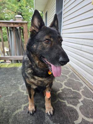 Lake Shore Pet Hospital