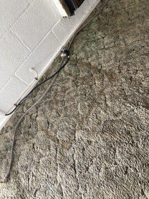 dirty carpet