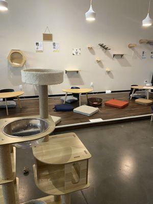 Cat Haven Lounge