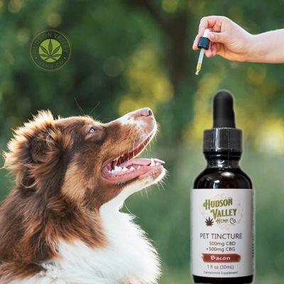 Bacon flavored pet tincture great for the pets with joint discomfort as well as anxiety CBD & CBG