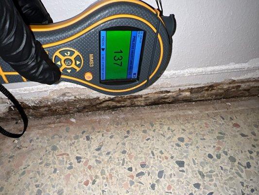 Engage Mold Solutions of Florida