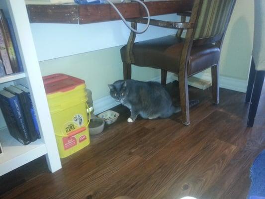 A guest in the facility.