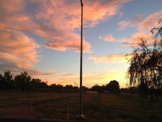 Brawley Cattle Call Rodeo