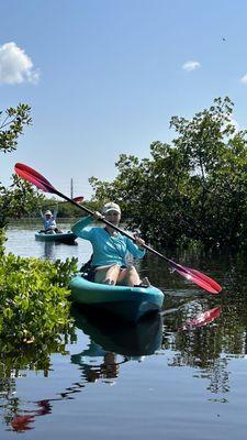 Kayaking in Mangroves
