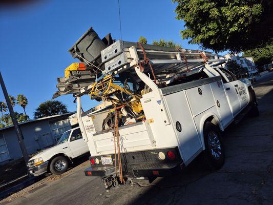 Mario's Tree Service & Stump Grinding