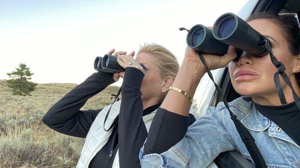 Wild Things of Wyoming