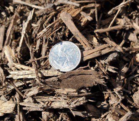 Mulch