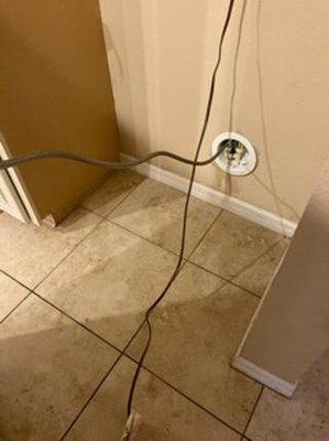 After cleaning up the fridge area. No more roaches!