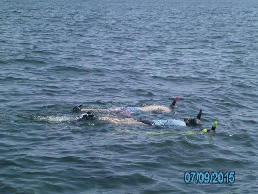 Nature Coast Charters