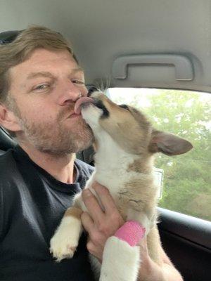 El Dorado Animal Hospital