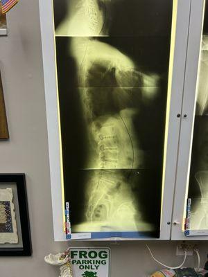 Steiner Chiropractic Center