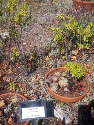 American River Water Education Center At Folsom Dam