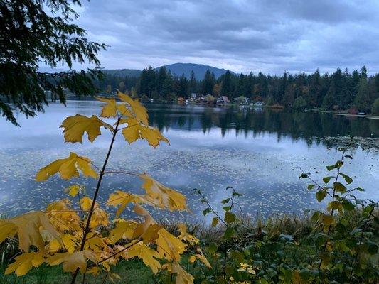 View of the lake in the fall :)