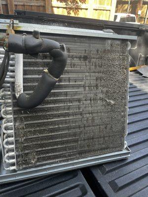 Dirty evaporator