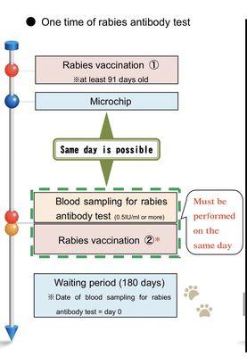 Sturbridge Veterinary Hospital
