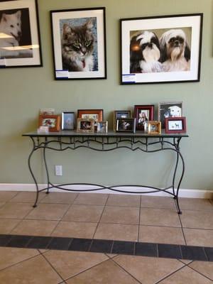 Raul's Grooming Center