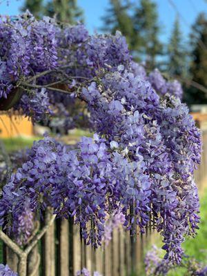 Beth’s Landscaping