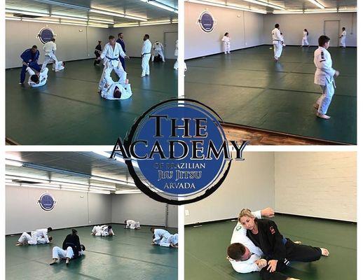 The Academy of Brazilian Jiujitsu