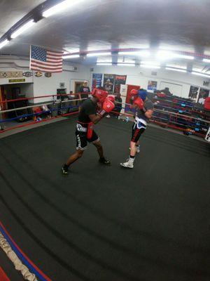 St Cloud Area Golden Gloves Boxing