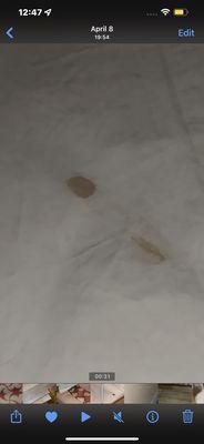 La Casa Inn & Suites