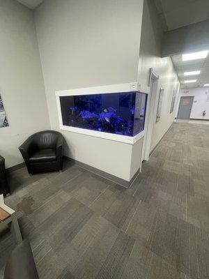 Straight Line Painting