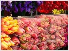 Florist in Freehold Area Services