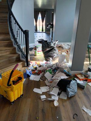 Heaven Sent House Cleaning & Organizing