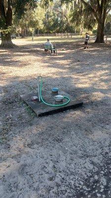 City of Wildwood Dog Park