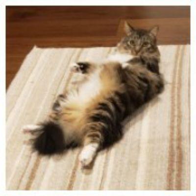 Fuzzy Britches Pet Care