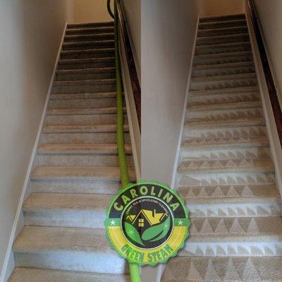 Carolina Green Steam