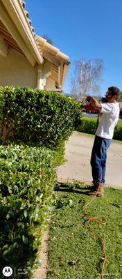 Inland Landscaping Hardscaping Service