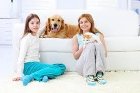 Carpet Upholstery Rug & Air Duct Cleaning