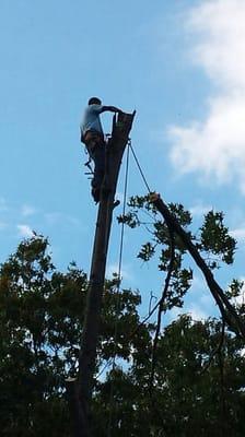 Eds Affordable Tree & Landscaping Service