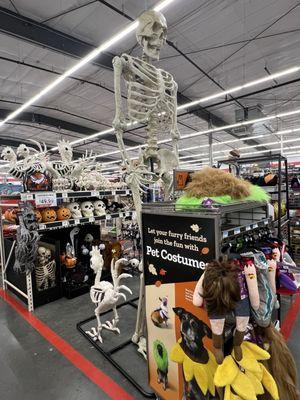 Love that they've got Halloween stuff out!