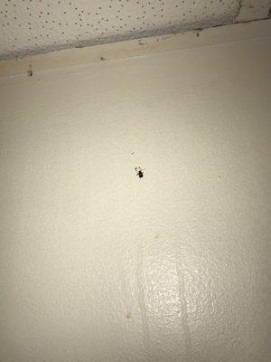 Paradigm Property Management