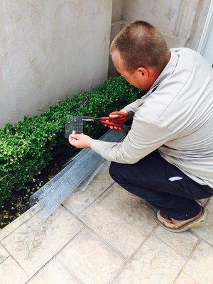 Cutting screen for a rodent exclusion.