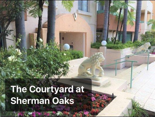 Courtyard at Sherman Oaks - Apartments