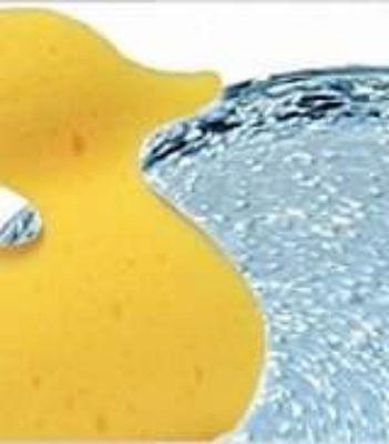 Sparkling Kleen Moveout Cleaning