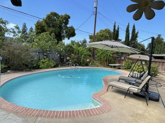 Sparkling Times Pool Service