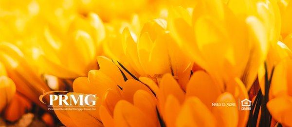 Paramount Residential Mortgage Group - Albuquerque