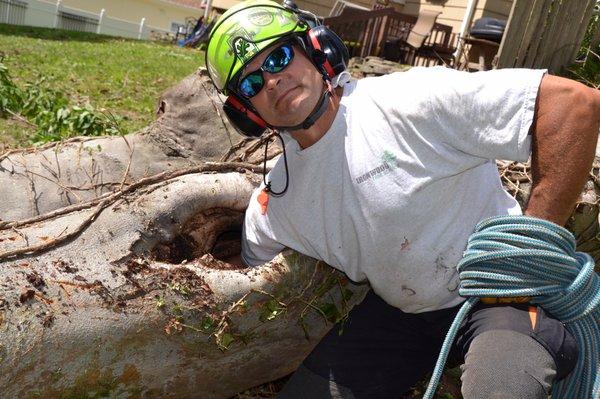 Ironwood Tree Service